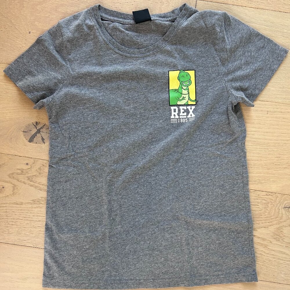 Grey Women's Toy Story Rex Graphic T-Shirt Size S
